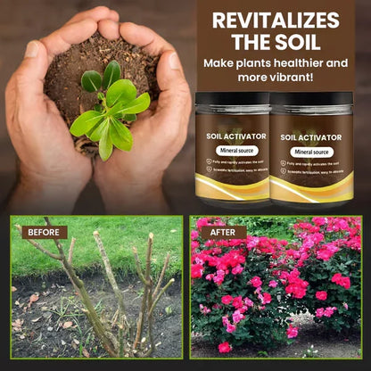 Maximise Your Garden'S Potential Offer