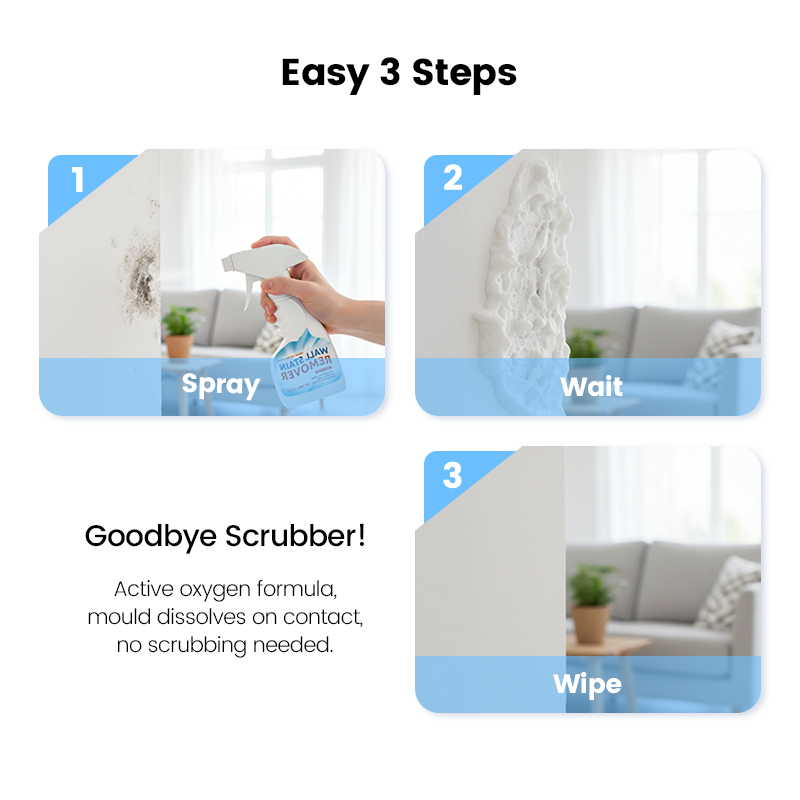Highly Effective Mould Removal Spray Prevents Mould Regrowth