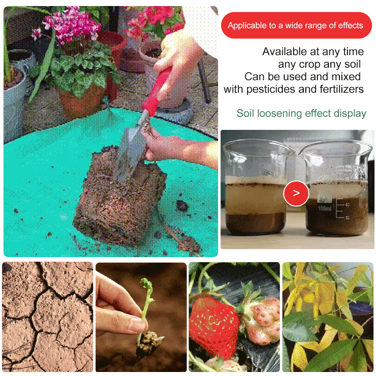 Maximise Your Garden'S Potential Offer